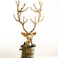 Stag Bust Gold
