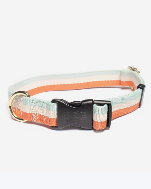 ORANGE STRIPE DOG COLLAR by Caroline Gardner