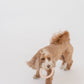 TEETHING RING SET