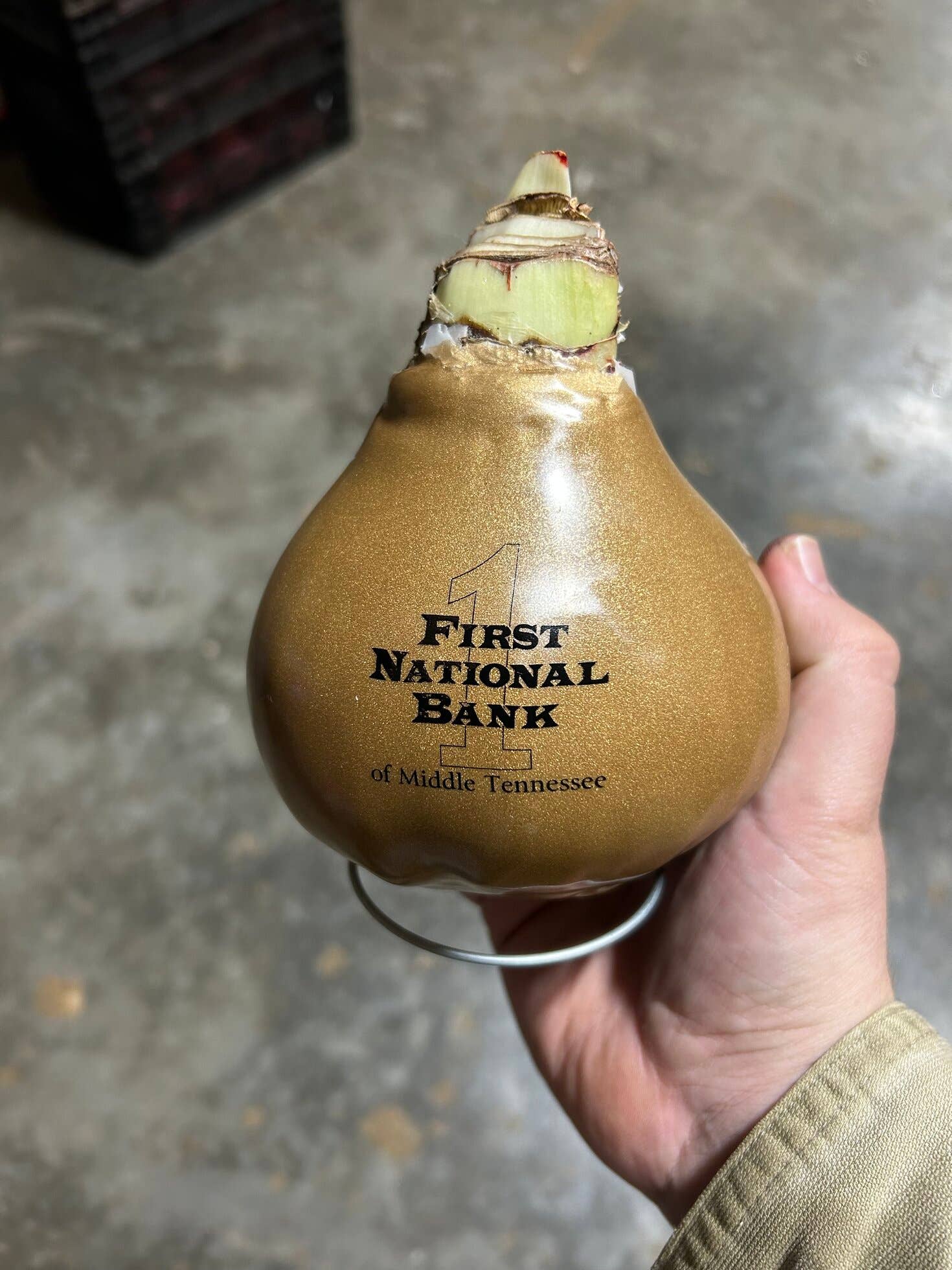 Custom Logo Bulb 18/Case