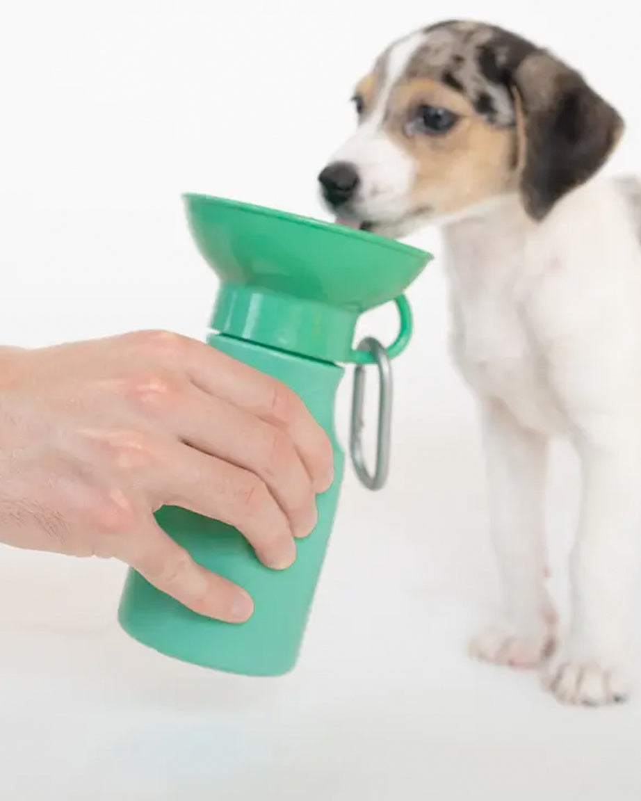 MINI TRAVEL WATER BOTTLE by Springer