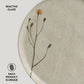 Dinner Plate Set of 6