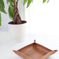 Simple Juniper Valet Tray
