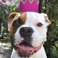 BRIGHT PARTY CROWNS