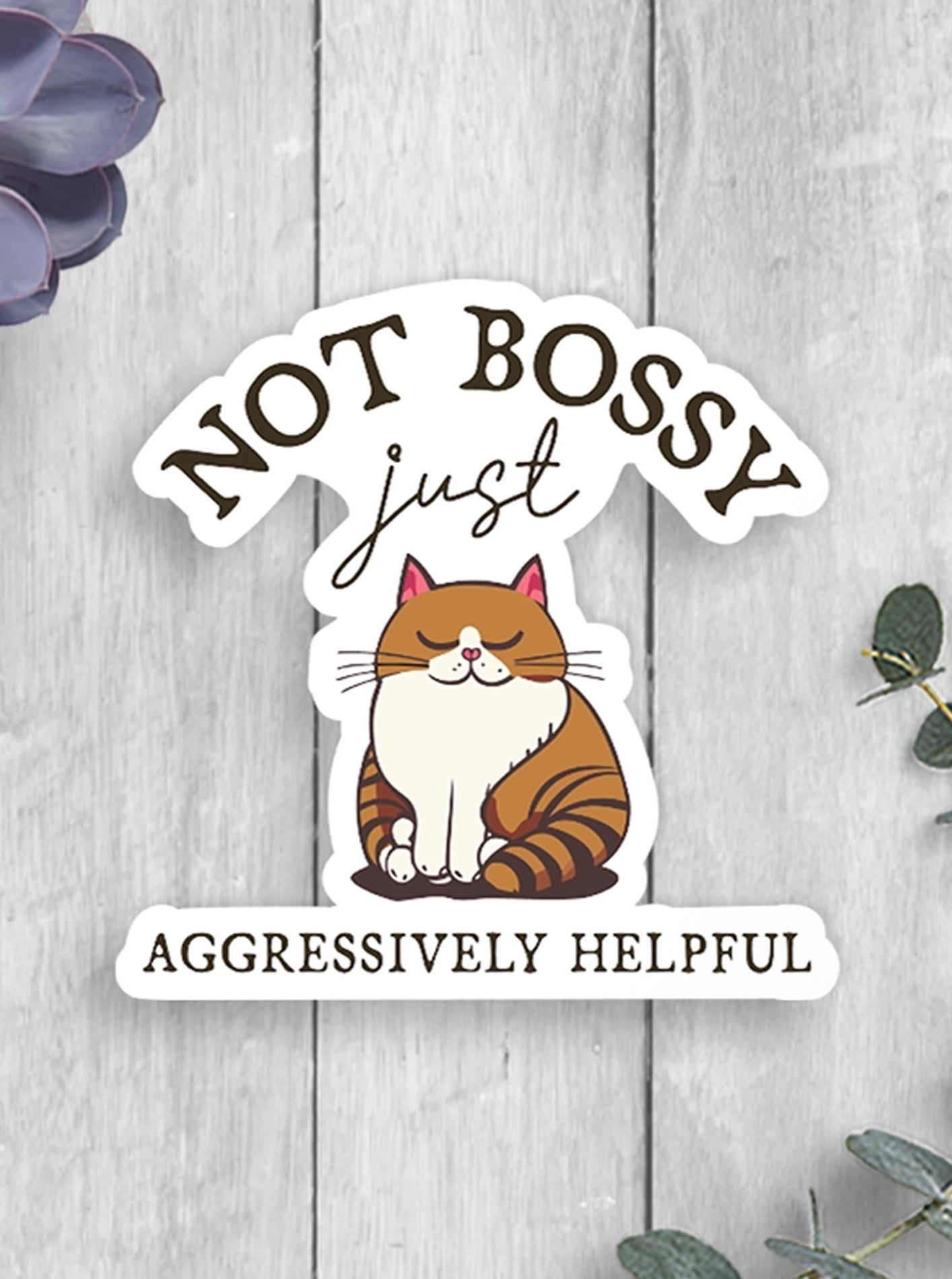 EXPRESSION DESIGN CO - STICKERS