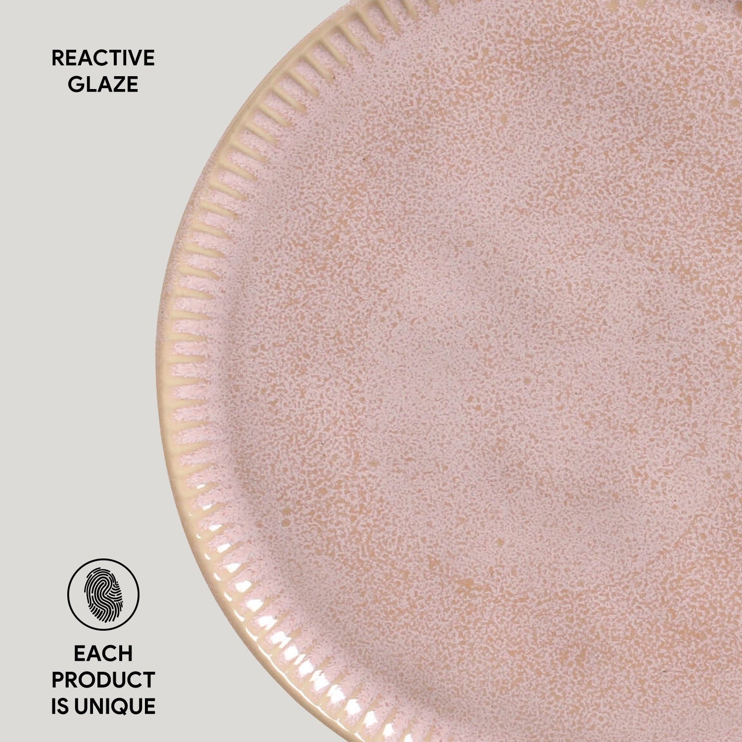 Dinner Plate Set of 6