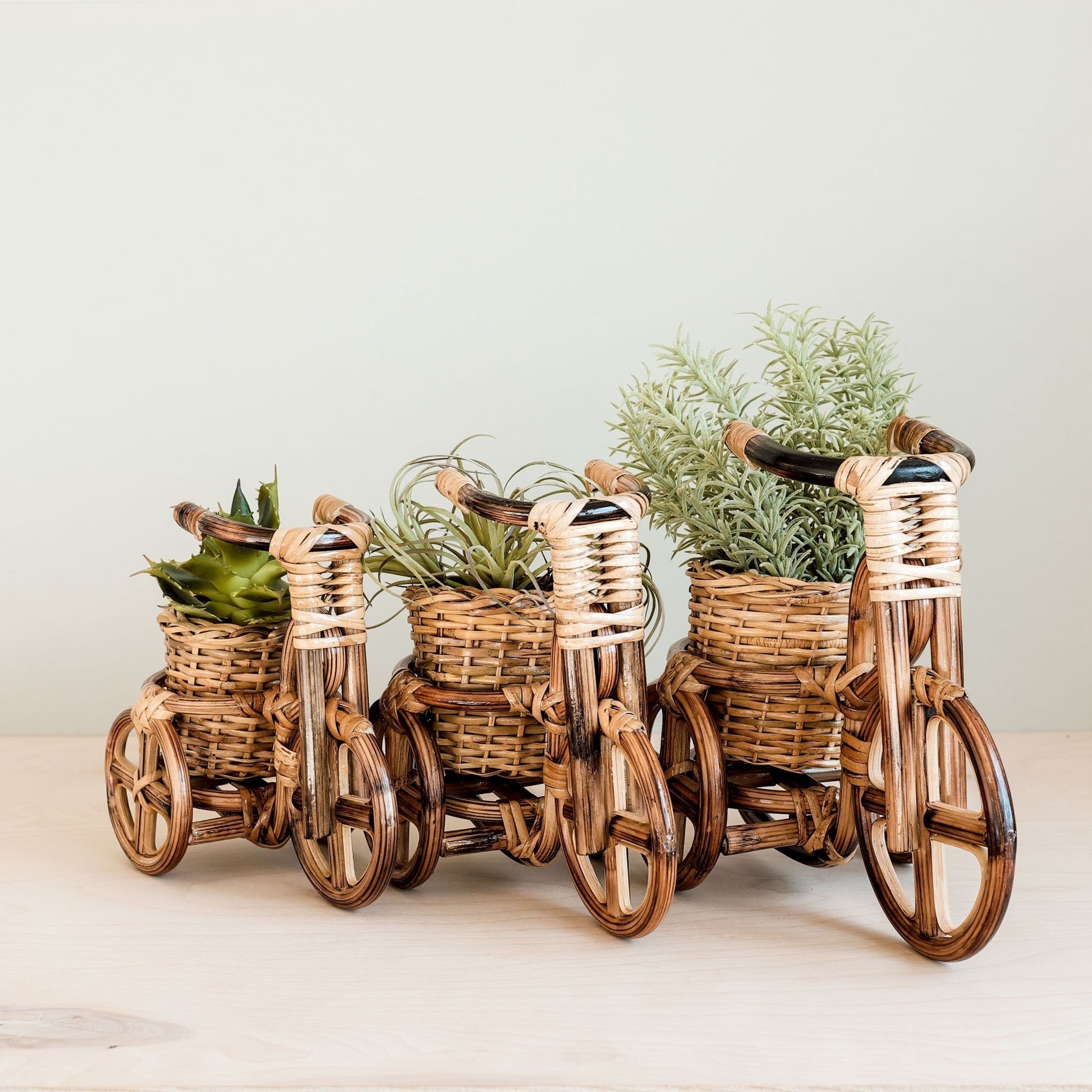 Bicycle Rattan Planter, medium - Handmade Planters | LIKHÂ