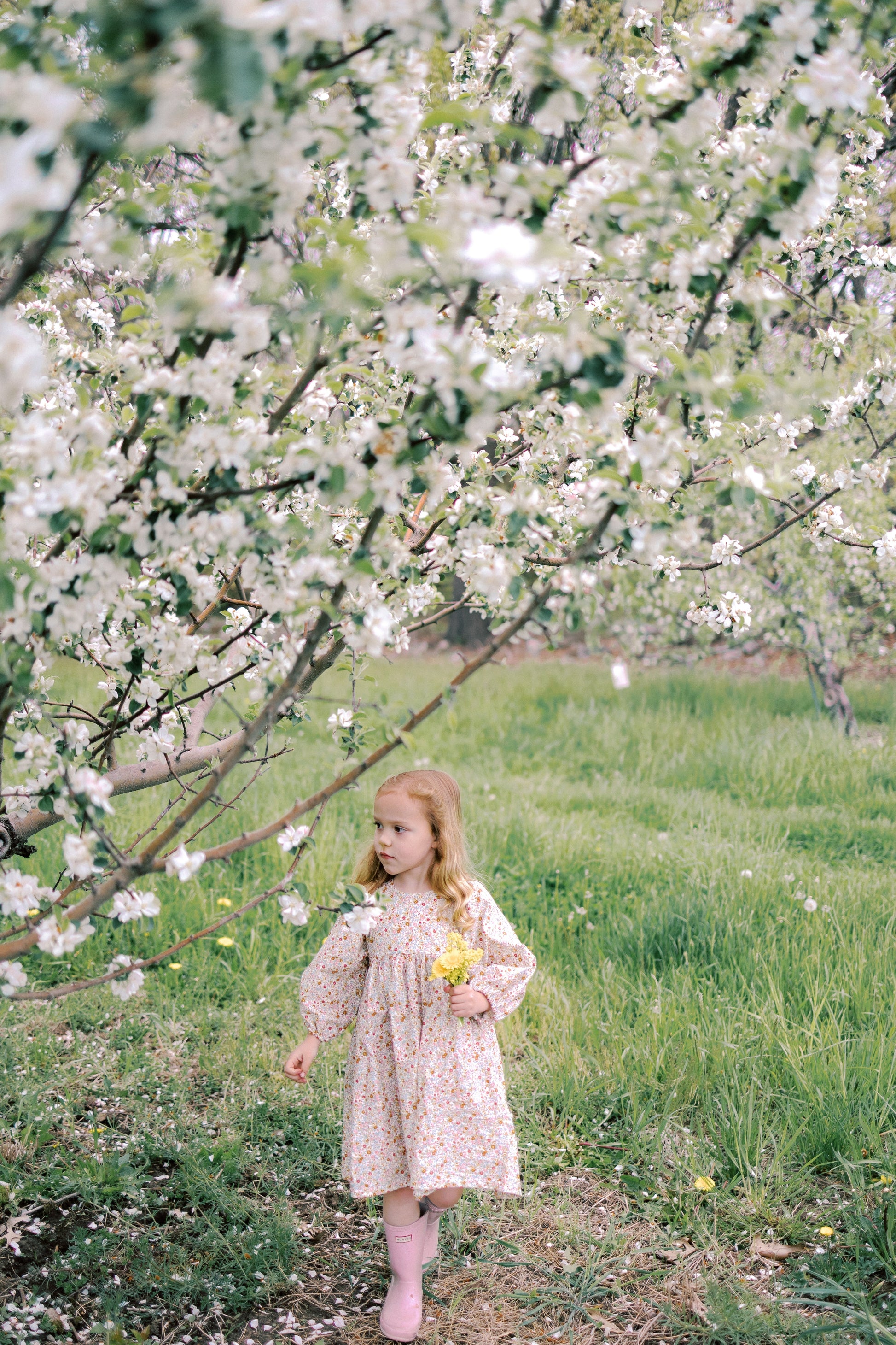 Willow Dress