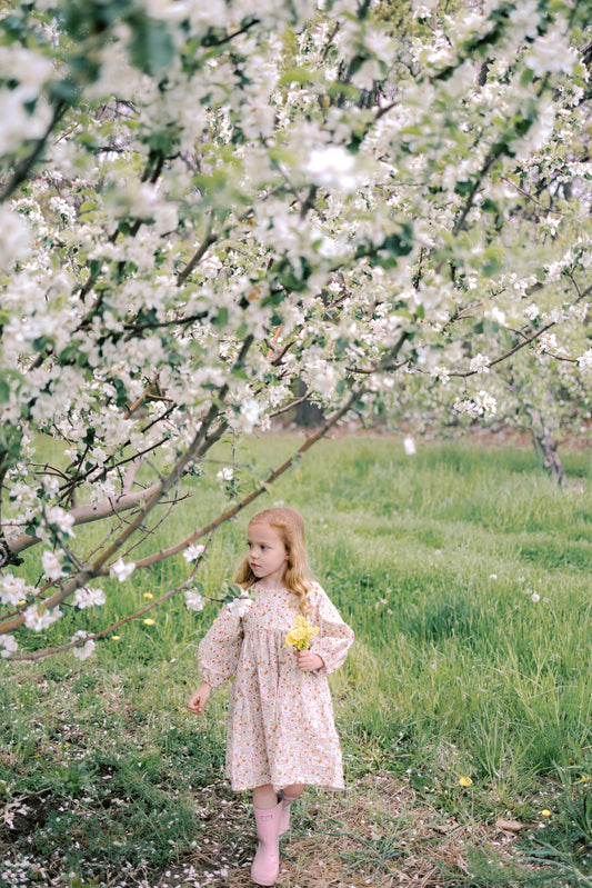 Willow Dress