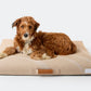 Brigette Romanek | Taupe Dog Bed or Bed Cover