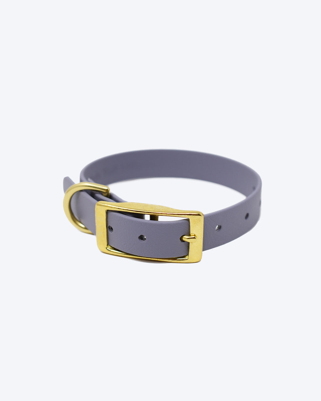 CLASSIC BRASS COLLAR by High Tail Hikes