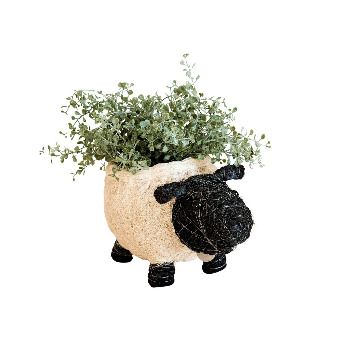 Sheep Planter - Coco Coir Pots | LIKHÂ