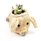 Pig Plant Pot - Animal Head Plant Pot | LIKHÂ