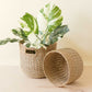 S/2 Grey + Natural Round Bottom Baskets