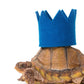BRIGHT PARTY CROWNS
