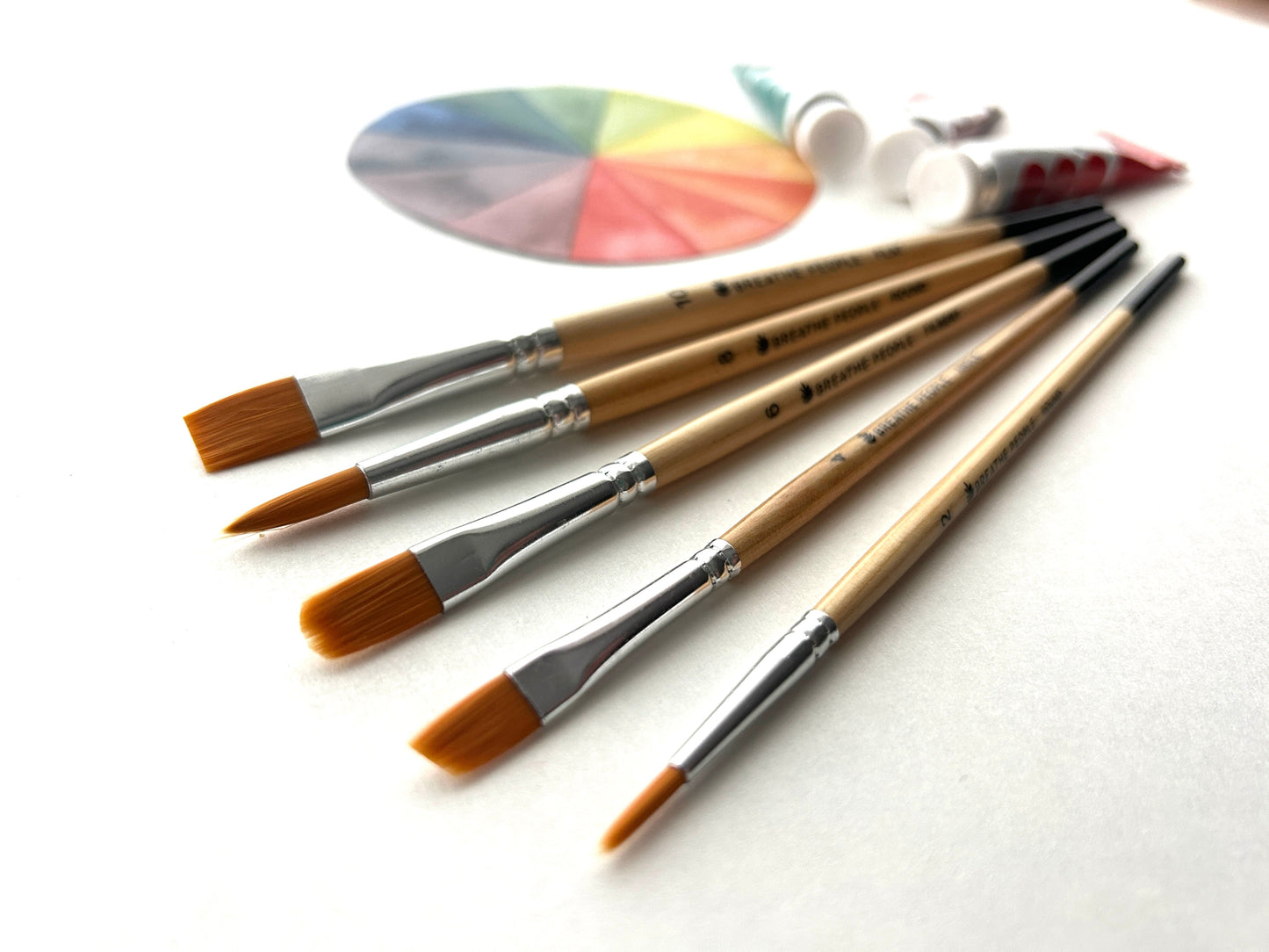 5-Piece Artist Brush Set for Beginners & Casual Creators