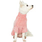STRIPED SWEATER by Blueberry Pet