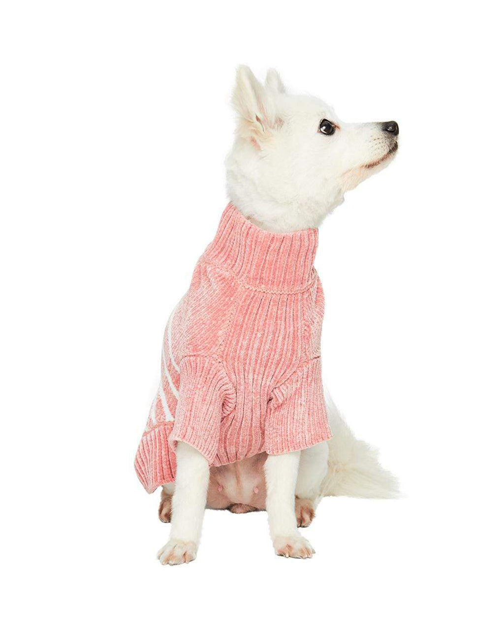 STRIPED SWEATER by Blueberry Pet