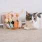 CAT 8-PIECE SISAL & FEATHER SET by Dexy Paws