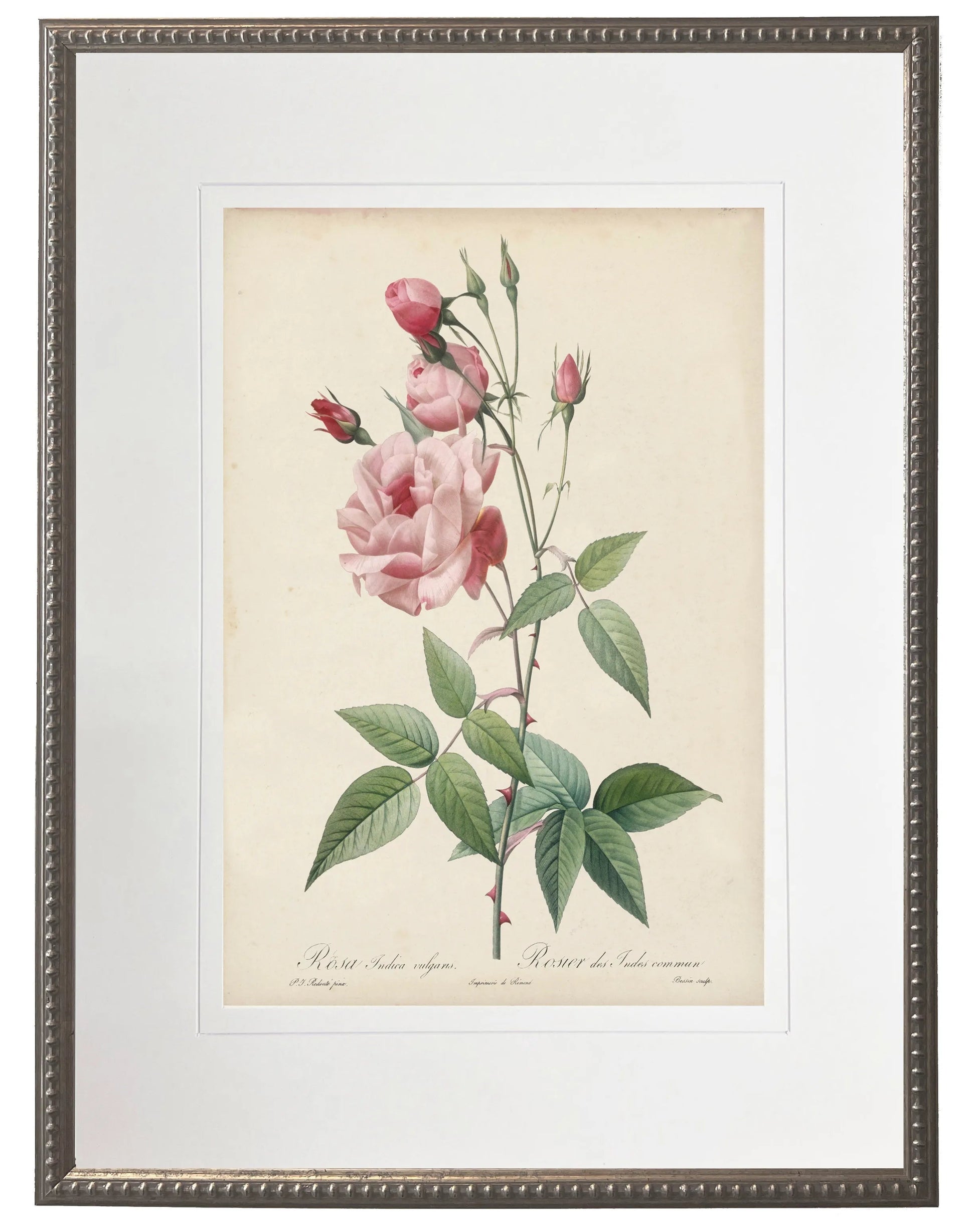 Vintage pink rose print matted in a cream mat in a beaded pewter frame sized 16x20