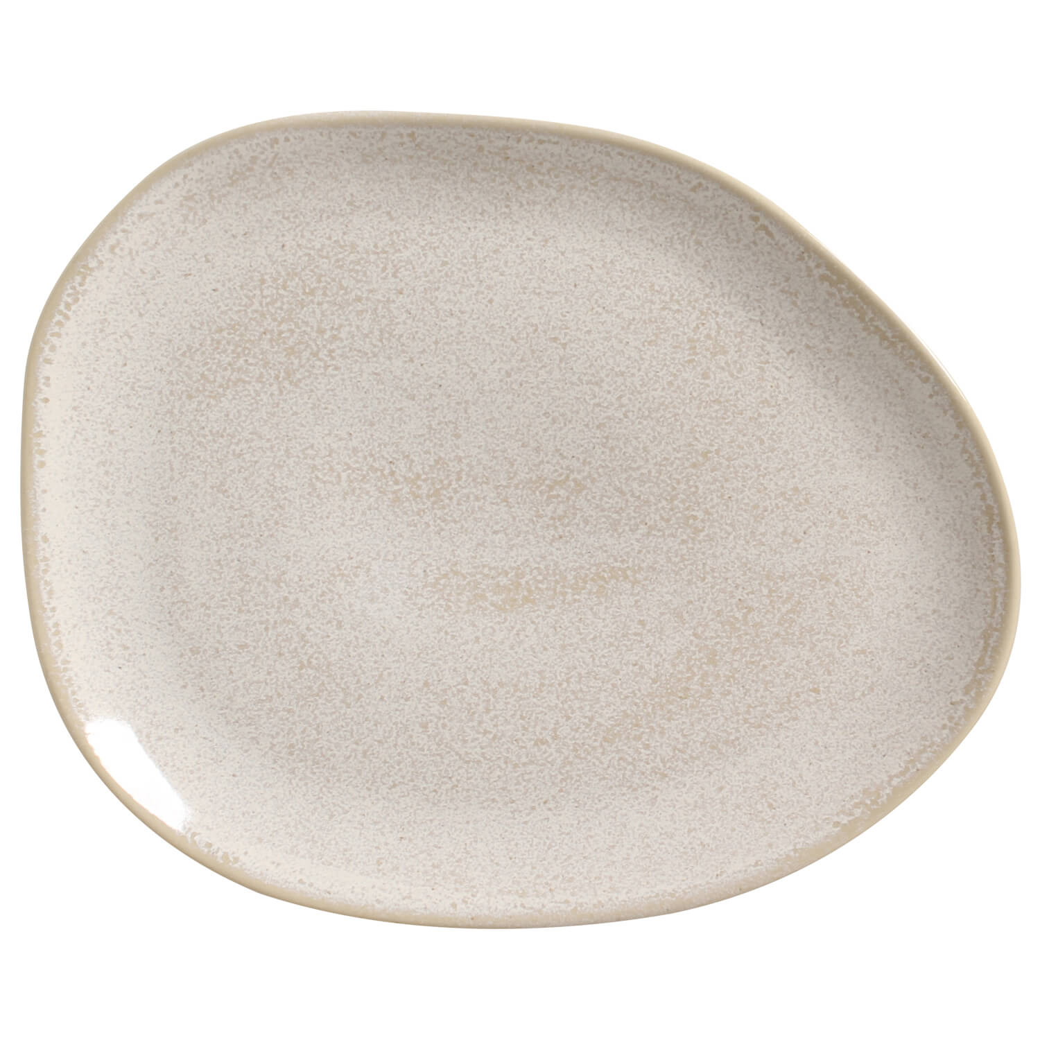 Oval Dinner Plate Set of 4