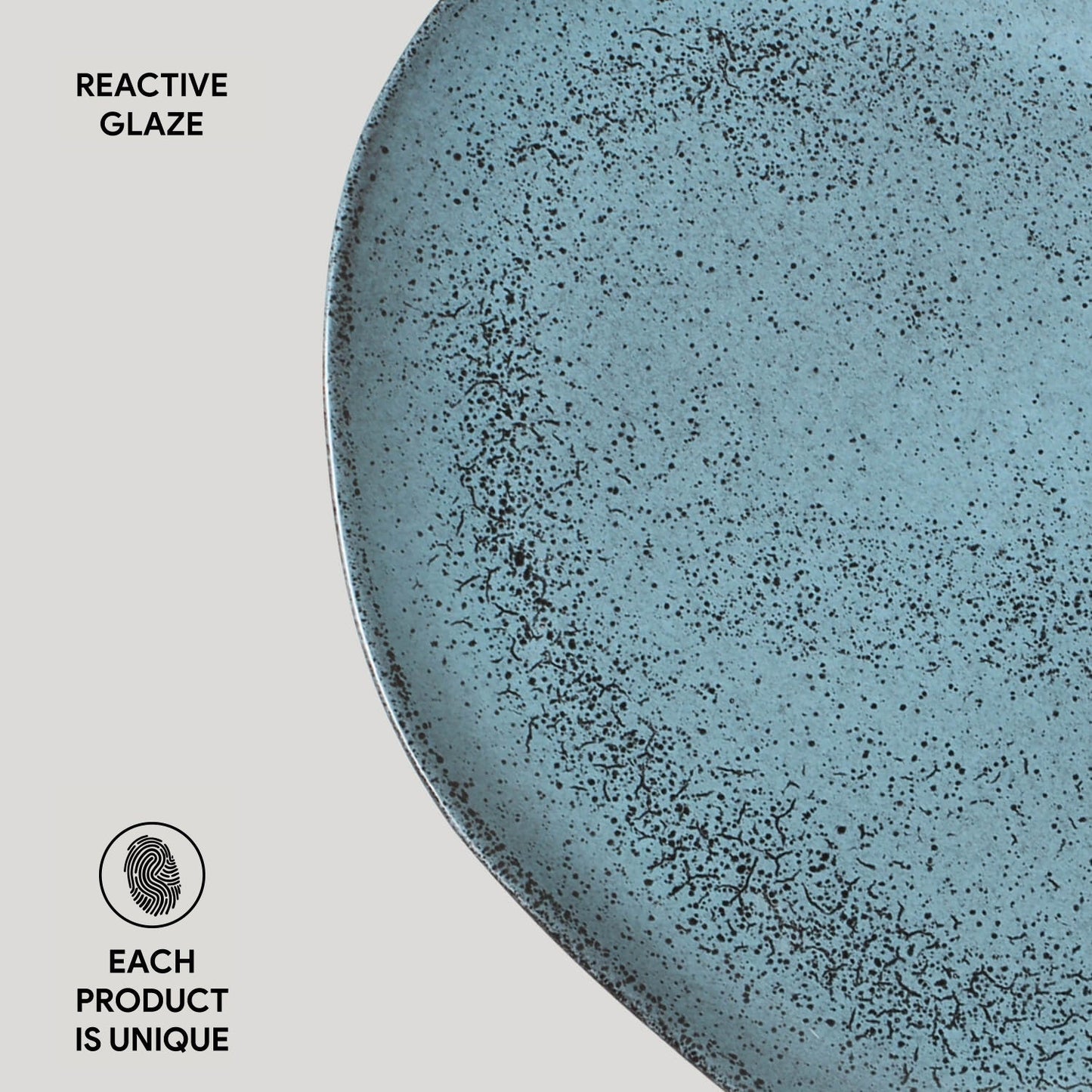 Oval Dinner Plate Set of 4