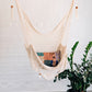 Summer Day Hammock Chair
