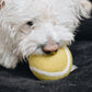 WOOL TENNIS BALL