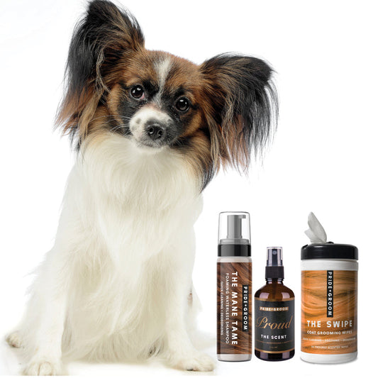 THE MID GROOM BUNDLE