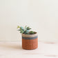 Coral Tabletop Mini Basket