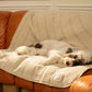 Brigette Romanek | Luxury Pet Throw Blanket - Cream