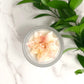 Poinsettia - Christmas Scent Candle - Eco-Friendly
