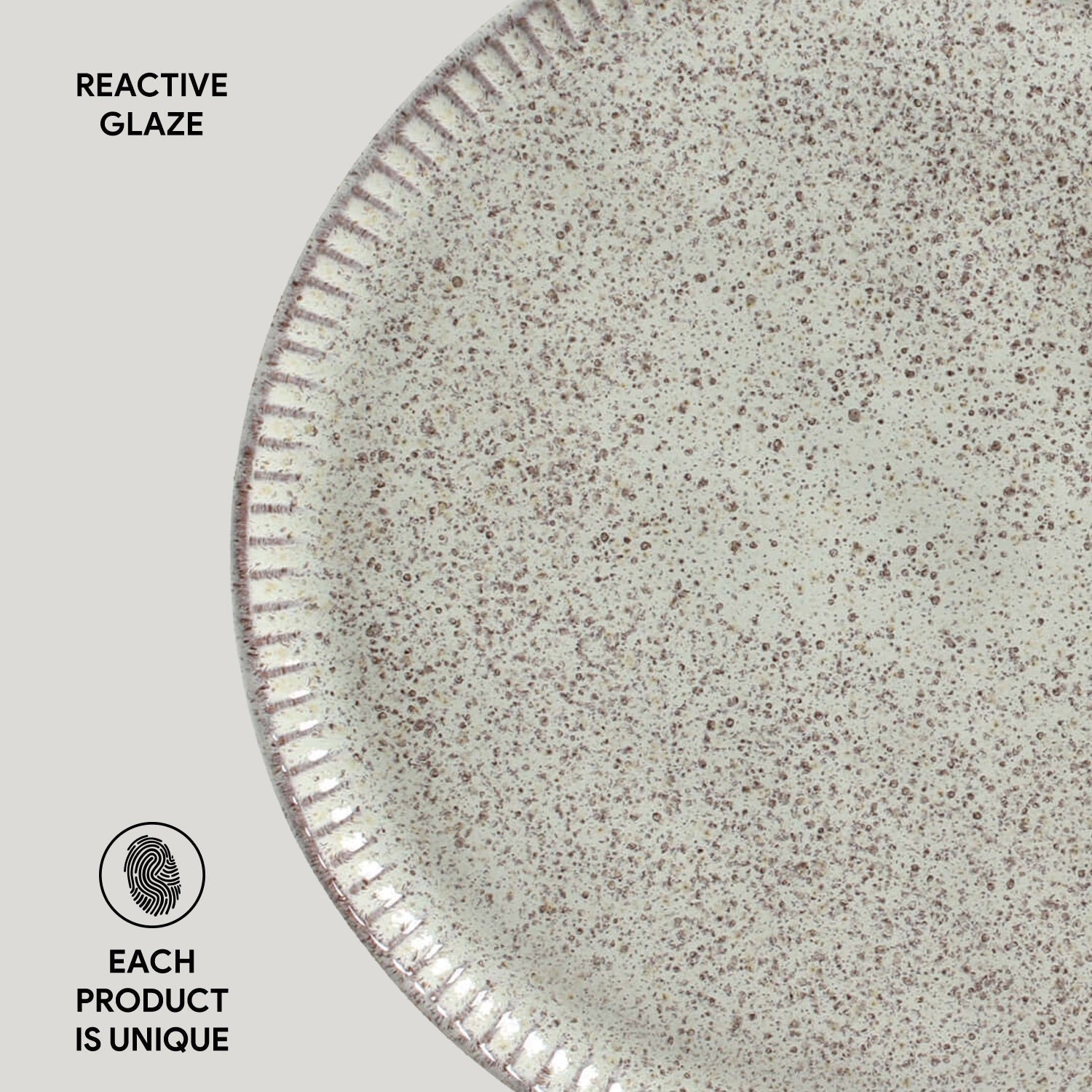Dinner Plate Set of 6