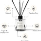 TÉ MATCHA - 5 FL OZ REED DIFFUSER