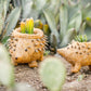 Hedgehog Planter - Coco Planter| LIKHÂ