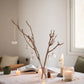 Bon Ornaments, Set of 7