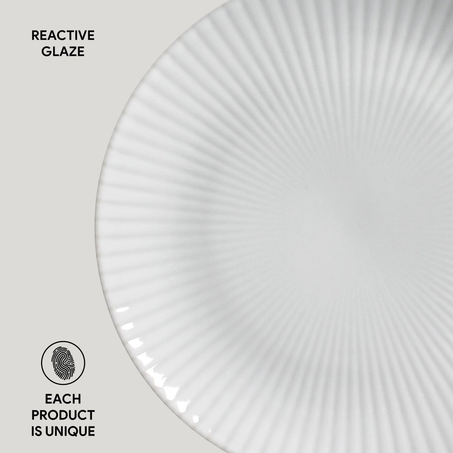 Dinner Plate Set of 6