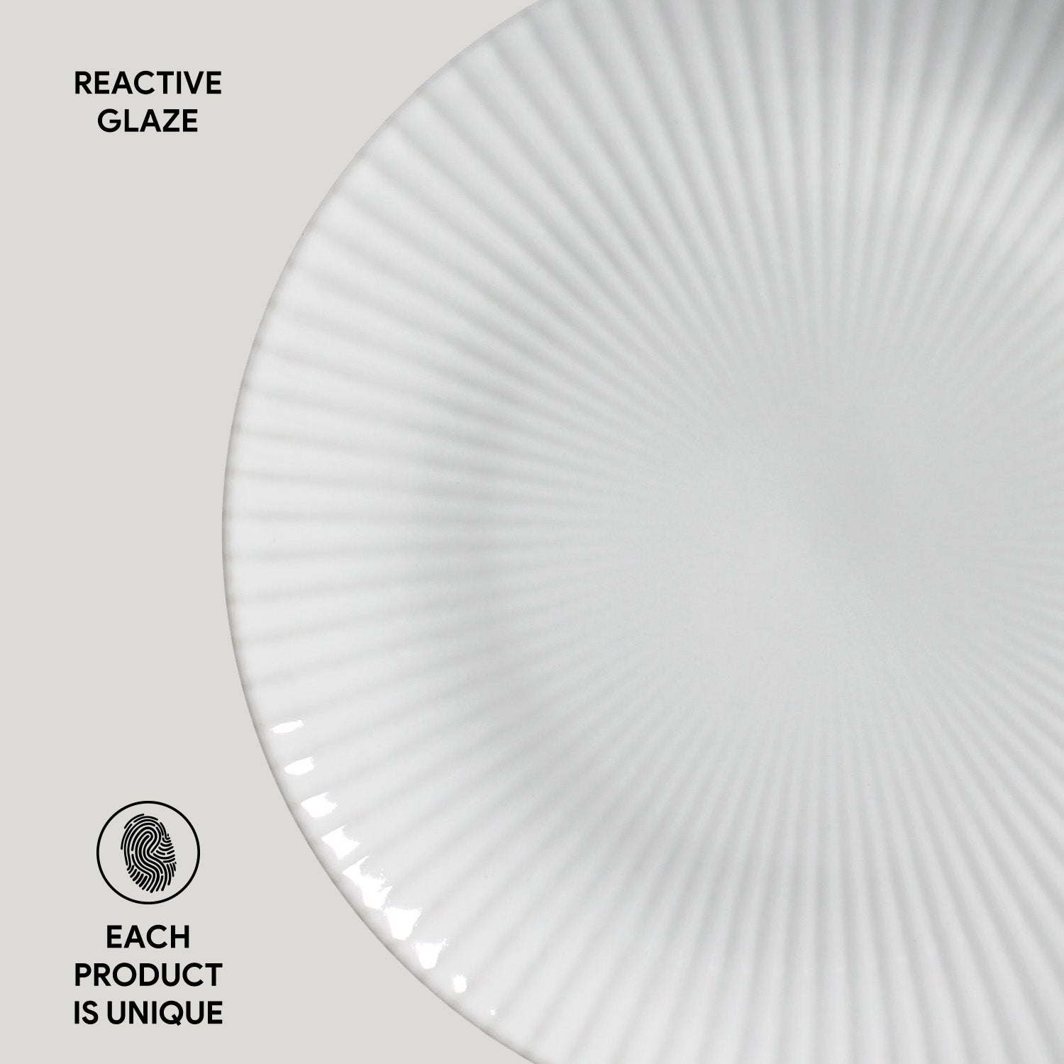 Dinner Plate Set of 6