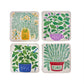 Homegrown Herbs Coasters, Set of 4
