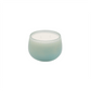 White Ginger + Water Lily | 11 oz | 24 oz
