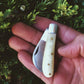 Evangeline's Vintage Foraging/Pruning Knife