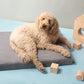 Gray | Modern Dog Bed or Bed Cover