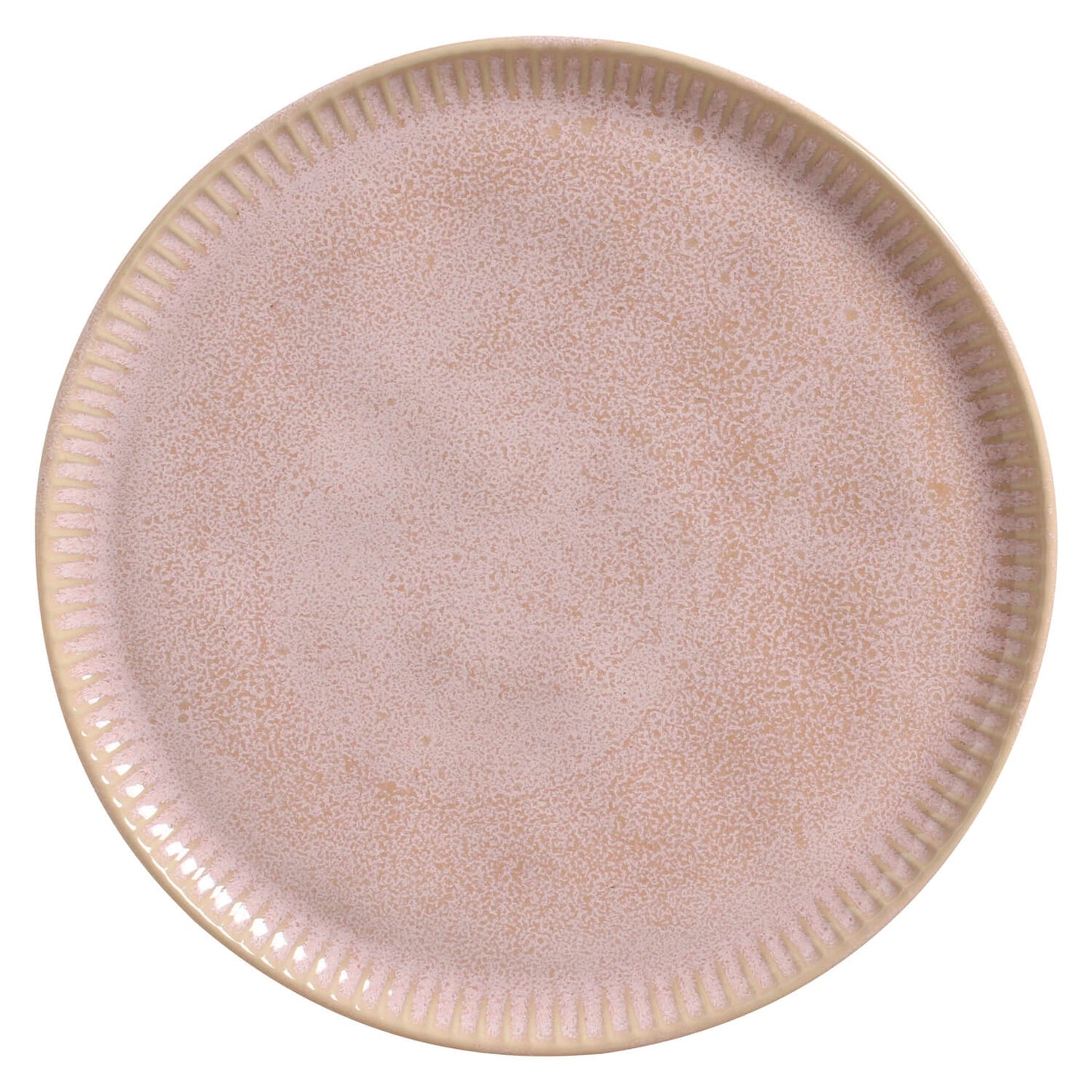 Dinner Plate Set of 6