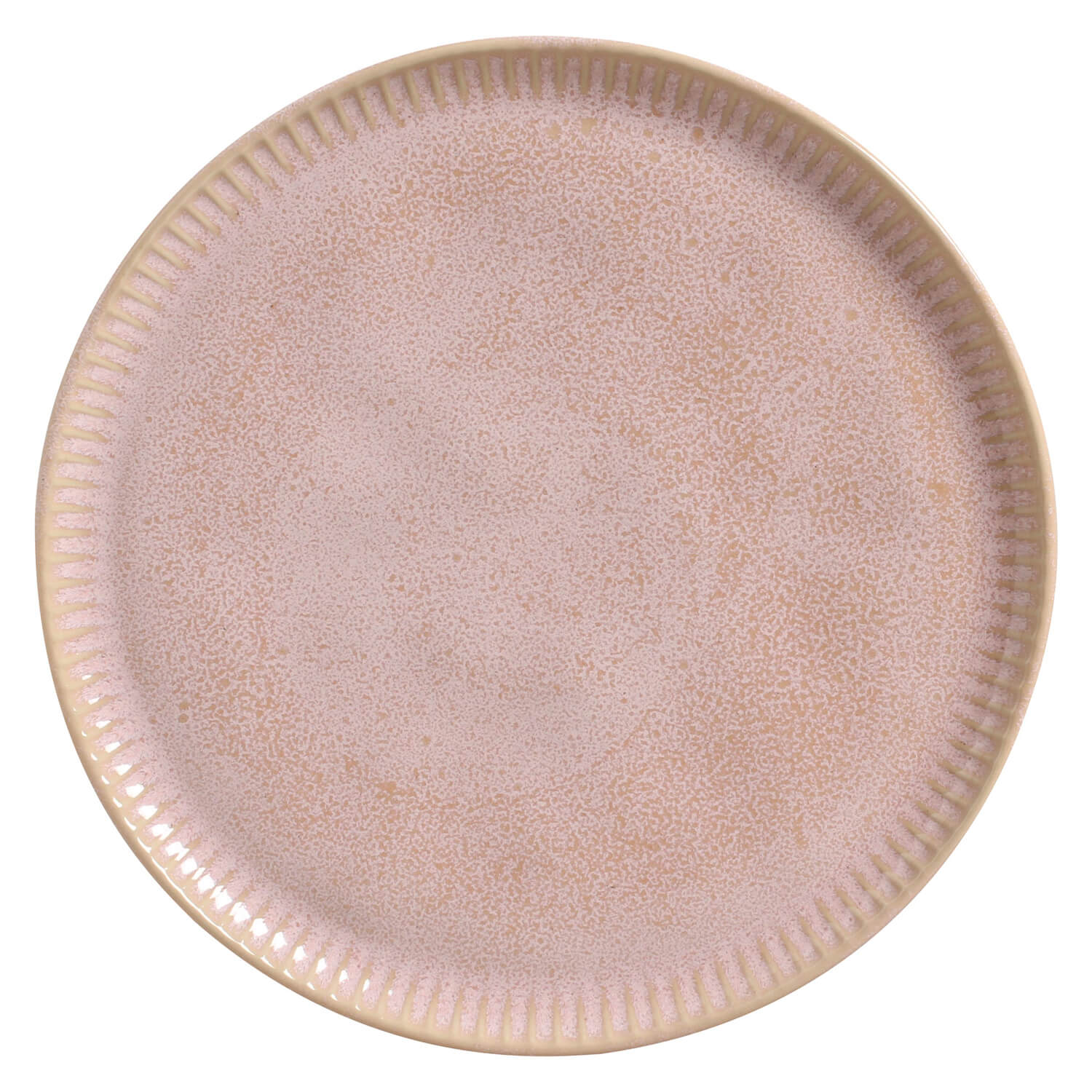 Dinner Plate Set of 6