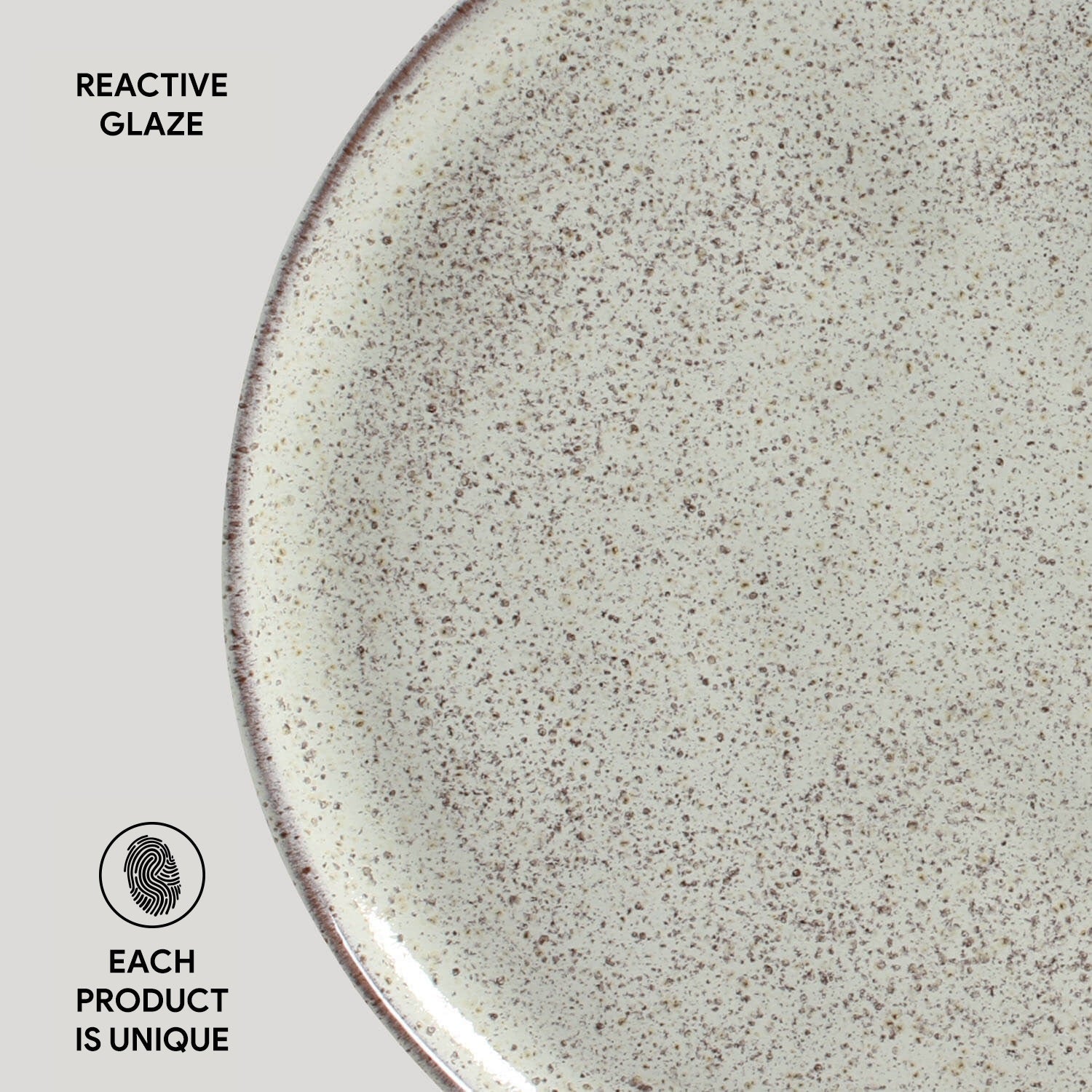 Dinner Plate Set of 6