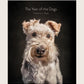 YEAR OF THE DOGS