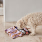 Ashi Dog Toy Small - Lavender/Amber