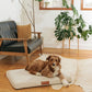 Ecru | Modern Dog Bed or Bed Cover