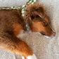 ADVENTURE NECKTIE