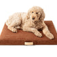 Terra | Modern Dog Bed or Bed Cover